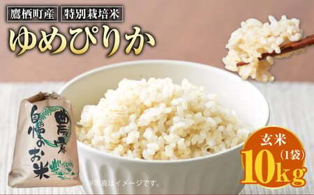 【令和7年産】 ゆめぴりか （玄米） 10kg 北海道 鷹栖町 たかすのおむすび 米 コメ ご飯 玄米 お米