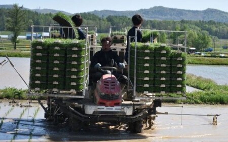 【令和7年産】 ななつぼし （玄米） 5kg 北海道 鷹栖町 たかすのおむすび 米 コメ ご飯 玄米 お米