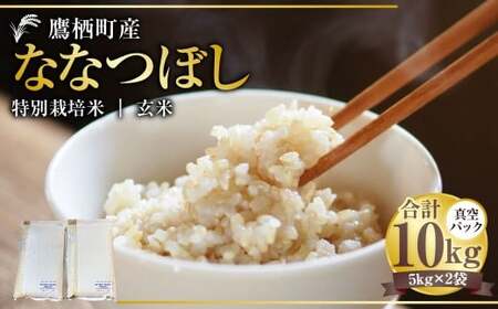 【令和7年産】 ななつぼし （玄米） 真空パック 5kg×2袋 10kg 北海道 鷹栖町 たかすタロファーム 米 コメ こめ ご飯 玄米 お米