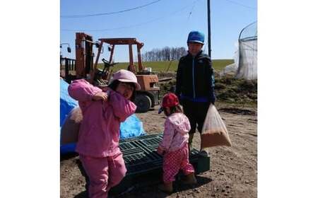 A165 【令和7年産】 ゆめぴりか ななつぼし ( 玄米 ) 各5kg 北海道 鷹栖町 たかすタロファーム 米 コメ こめ ご飯 お米