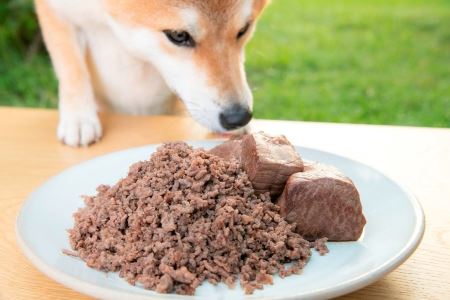 A104 犬用 エゾシカ肉 ドッグフード わんdeereフルセット 手作りごはん 北海道 鷹栖町 山恵 ドックフード