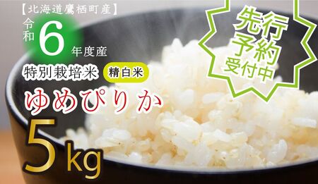 A115 　先行予約 【 令和6年産 】 ゆめぴりか （ 白米 ） 特Aランク  5㎏ 北海道 鷹栖町 たかすタロファーム 米 コメ こめ ご飯 白米 お米 ゆめぴりか コメ白米 白米 白米 白米 白米 白米 白米 白米 白米 白米 白米 白米 白米 白米 白米 白米 白米 白米 白米 白米 白米 白米 白米 白米 白米 白米 白米 白米 白米 白米 白米 白米 白米 白米 白米 白米 白米 白米 白米 白米 白米 白米 白米 白米 白米 白米 白米 白米 白米 白米 白米 白米 白米 白米 白米 白米 白米 白米 白米 白米 白米 白米 白米 白米 白米 白米 白米 白米 白米 白米 白米 白米 白米 白米 白米 白米 白米 白米 白米 白米 白米 白米 白米 白米 白米 白米 白米 白米 白米 白米 白米 白米 白米 白米 白米 白米 白米 白米 白米 白米 白米 白米 白米 白米 白米 白米 白米 白米 白米 白米 白米 白米 白米 白米 白米 白米 白米 白米 白米 白米 白米 白米 白米 白米 白米