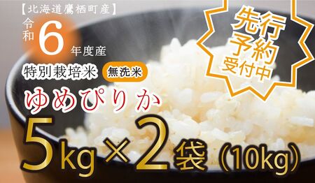 A195　先行予約 【 令和6年産 】 ゆめぴりか （ 無洗米 ） 特Aランク 5kg×2袋 北海道 鷹栖町 たかすタロファーム 米 コメ こめ ご飯 白米 お米 ゆめぴりか 無洗米無洗米無洗米無洗米 無洗米無洗米無洗米無洗米無洗米無洗米無洗米無洗米無洗米無洗米無洗米無洗米無洗米無洗米無洗米無洗米無洗米無洗米無洗米無洗米無洗米無洗米無洗米無洗米無洗米無洗米無洗米無洗米無洗米無洗米無洗米無洗米無洗米