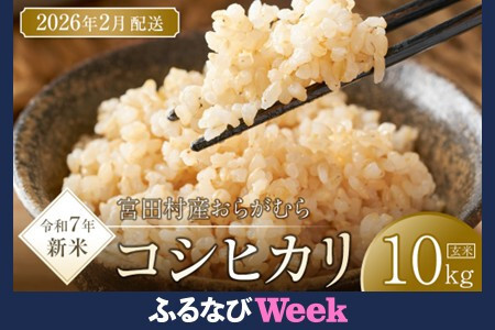 【ふるなびWEEK対象】通常23,000円→期間中22,000円【予約受付】【令和７年米】【新米】長野県宮田村産コシヒカリ／玄米／10kg／令和８年2月配送 [ コシヒカリ ] FN-Limited-PR ●