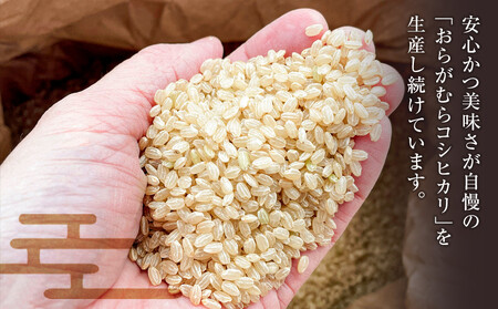 【ふるなびWEEK対象】通常23,000円→期間中22,000円【予約受付】【令和７年米】【新米】長野県宮田村産コシヒカリ／玄米／10kg／令和８年2月配送 [ コシヒカリ ] FN-Limited-PR ●