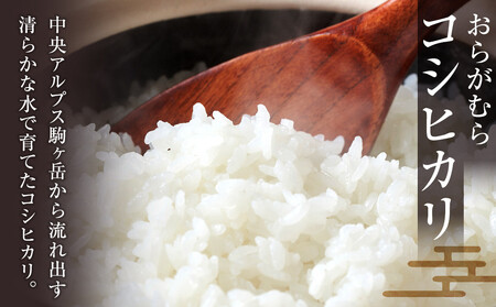 【予約受付】【令和７年産】【新米】長野県宮田村産コシヒカリ／精米／9kg・23,000円／令和８年3月配送 [ コシヒカリ ]