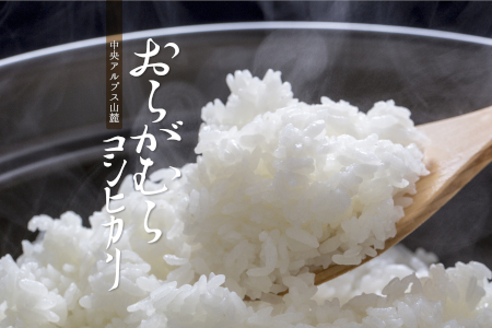 【予約受付】【令和６年米】【新米】長野県産　減農薬栽培コシヒカリ／玄米／20kg・16,000円／令和7年1月配送