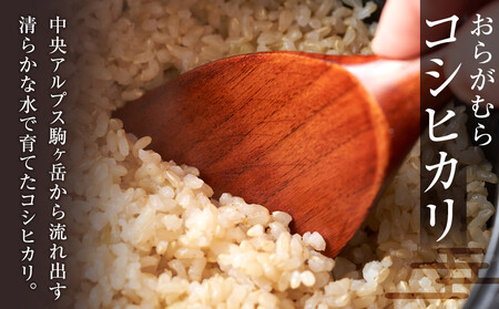 【ふるなびWEEK対象】通常46,000円→期間中44,000円【予約受付】【令和７年米】【新米】長野県宮田村産コシヒカリ／玄米／20kg／令和８年2月配送（ コシヒカリ ） FN-Limited-PR ●