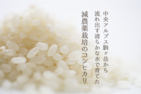 【予約受付】【令和６年米】【新米】長野県産　減農薬栽培(栽培期間中)コシヒカリ／精米／18kg・16,000円／11月配送