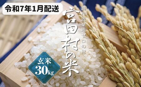 予約受付】【令和６年米】【新米】長野県産 減農薬栽培