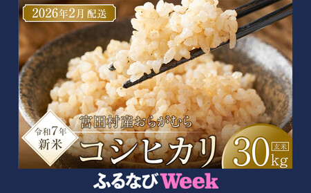 【ふるなびWEEK対象】通常69,000円→期間中66,000円【予約受付】【令和７年米】【新米】長野県宮田村産コシヒカリ／玄米／30kg／令和８年2月配送（ コシヒカリ ） FN-Limited-PR ●