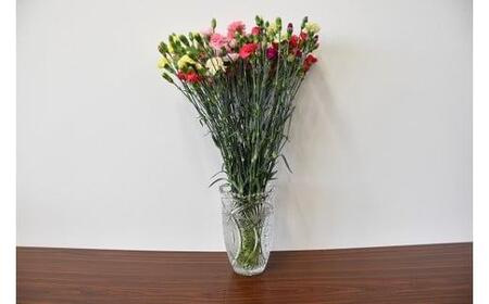 宮田村産『カーネーション』の花束　母の日期間発送【5月7日(木)～5月10日(日)指定】[ カーネーション 花束 ]