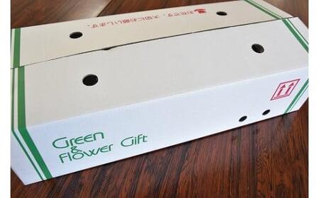 宮田村産『カーネーション』の花束　母の日期間発送【5月7日(木)～5月10日(日)指定】[ カーネーション 花束 ]