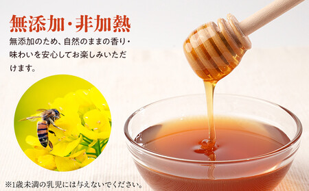 日本ミツバチのはちみつ 200g×2本