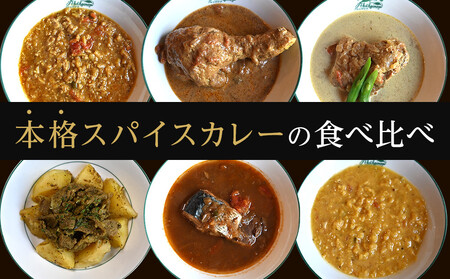 【食べ比べ】人気スパイスカレー6種セット