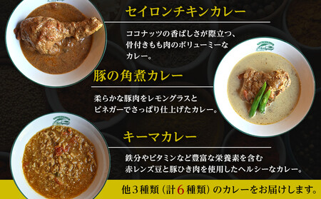 【食べ比べ】人気スパイスカレー6種セット
