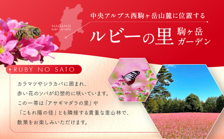 高嶺ルビー はちみつ 120g　3本セット [ はちみつ 蜂蜜 ]