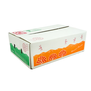 JA02-26A 【先行予約】 桃 あかつき 約3kg／2026年7月下旬～8月上旬頃 配送予定 // 贈答 センサ ー選別 糖度センサー 桃 もも 果物 フルーツ ギフト あかつき 太鼓判 優糖生