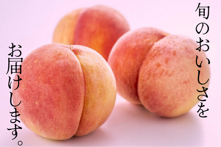 JA02-26A 【先行予約】 桃 あかつき 約3kg／2026年7月下旬～8月上旬頃 配送予定 // 贈答 センサ ー選別 糖度センサー 桃 もも 果物 フルーツ ギフト あかつき 太鼓判 優糖生
