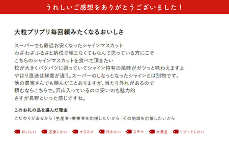 JA11-26A 【先行予約】ぶどう シャインマスカット 約2kg / 2026年9月中旬～10月中旬頃 配送 // 長野県 南信州 シャイン マスカット 種無し 大粒 甘い 葡萄 人気 新鮮 厳選 贈答