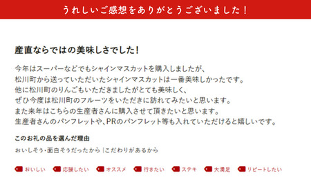 JA11-26A 【先行予約】ぶどう シャインマスカット 約2kg / 2026年9月中旬～10月中旬頃 配送 // 長野県 南信州 シャイン マスカット 種無し 大粒 甘い 葡萄 人気 新鮮 厳選 贈答