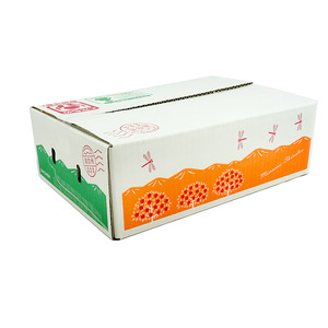 JA28-26A 【先行予約】 梨 幸水 約2kg／2026年8月中旬～9月上旬頃 配送予定 // 贈答 センサー選別 糖度センサー 梨 なし ナシ 果物 フルーツ ギフト 幸水 太鼓判 優糖生