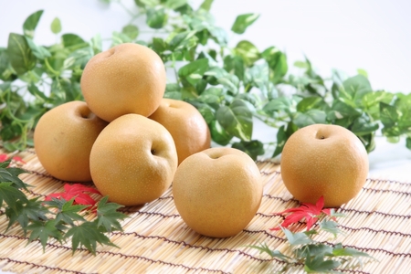 JA31-26A 【先行予約】梨 豊水 約2kg / 2026年9月上旬～9月下旬頃 配送予定 // 贈答 センサー選別 糖度センサー 梨 なし ナシ 果物 フルーツ ギフト 豊水 太鼓判 優糖生