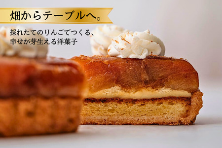 PN02-25D 季節のりんごのタルトタタン//長野県産 サンふじ リンゴ 林檎 フランス 本格 スイーツ さくさくタルト 甘さ控えめ 贈答 ギフト 1ホール 冷凍