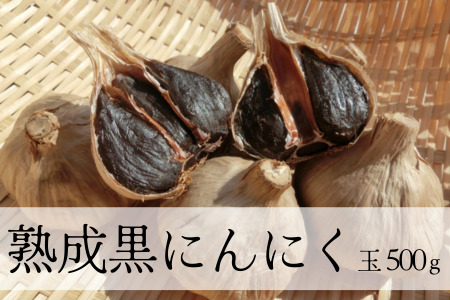 MF03-24B 熟成黒にんにく 玉 500g