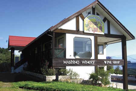 MW15-25E 信州産 フルーツジュースセット（ふじ／桃／洋梨 500ml×3本）// 長野県 南信州 国産 ストレートジュース フジ もも ピーチ 洋なし りんご リンゴ 果汁100％ 保存料不使用