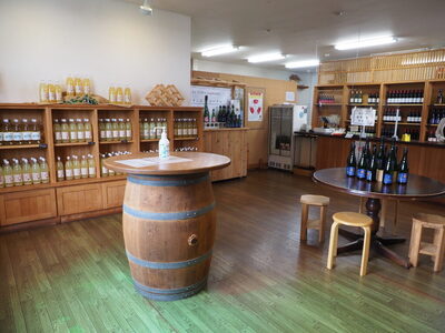 MW17-25E 信州産 林檎と桃のジュースセット（王林／桃 500ml×2本）// 長野県 南信州 王林 りんご リンゴ もも ピーチ ストレートジュース 果汁100％ 保存料不使用