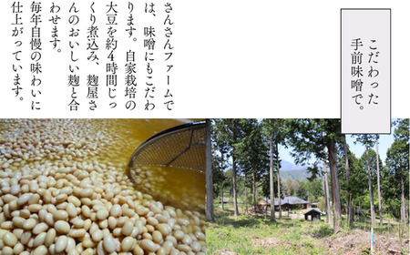 SF05-25C 無添加！さんさん豚みそ漬けセット／（ステーキ:100g×3P・スライス:180g×2P）// 長野県産豚肉 南信州 ポーク ステーキ バークシャー種 薄切り 味噌漬け 安全 安心 冷凍