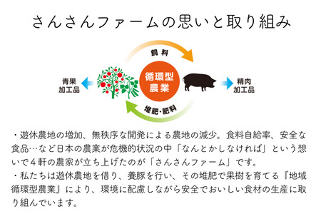 SF07-24C さんさん豚6回お届けコース／（翌月より6ヶ月）// 長野県産豚肉 南信州 ポーク ステーキ バークシャー種 薄切り 味噌漬け 安全 安心 定期便 毎月届く 贈答 ギフト