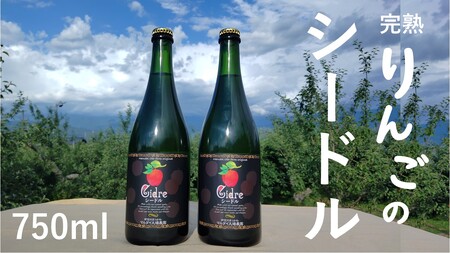 WC14-25F マルダイ大場農園シードル（750ml） 2本セット // 長野県 南信州 松川町産 りんごのお酒 辛口 リンゴ 林檎 シナノスイート 秋映 シナノゴールド