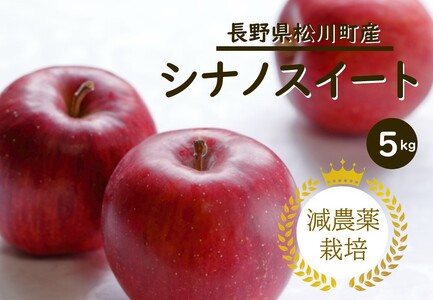 YN12-25A 【2025年先行予約】りんご シナノスイート 約5kg 減農薬栽培 秀品 / 2025年10月上旬頃から配送予定 // りんご リンゴ 林檎 シナノスイート 減農薬栽培 農家直送 農家支援 長野県 松川町産