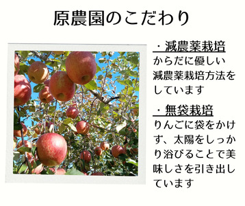 HF02-24E 信州松川産 サンふじ100％りんごジュース250ml×4本セット（減農薬栽培）// 長野県 南信州 サンふじ 減農薬栽培りんごを使用