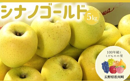 AS08-24A りんご シナノゴールド （松川町産）秀品 約5kg ／2024年10月下旬頃～配送予定