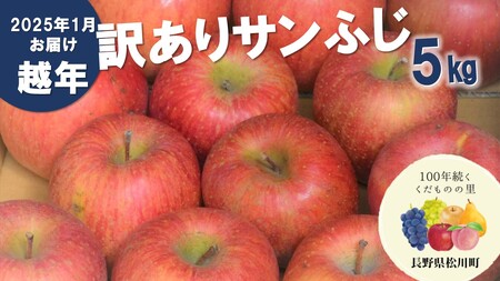 AS12-24A りんご サンふじ 越年自家用（松川町産） 約5kg ／2025年1月中旬頃～配送予定