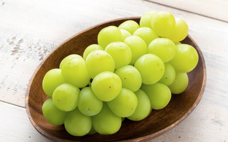 TK09-26A 【先行予約】ぶどう シャインマスカット 約1kg /2026年9月中旬~10月初旬頃 配送予定 // 贈答 長野県 南信州 シャインマスカット マスカット 種なし 皮ごと ぶどう 葡萄 果物 フルーツ