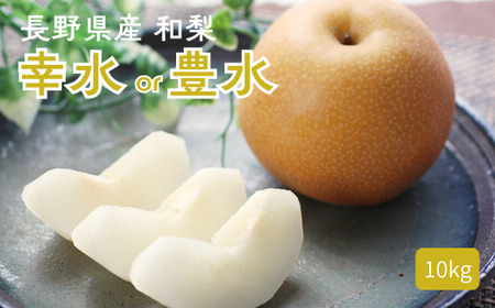 梨　豊水梨　家庭用　　68 先行予約 】 茨城県産 「 幸水梨 」 約5kg 【 2026年8月上旬 ～ 8月