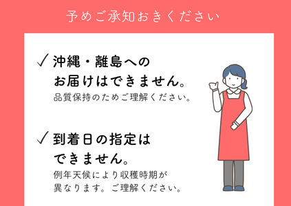MS15-26A 【先行予約】 りんご サンふじ（長野県産秀品） 約5kg / 2026年11月下旬～12月中旬頃 配送予定 // 長野県 南信州 さんふじ サンフジ ふじりんご リンゴ 林檎 贈答 ふじ