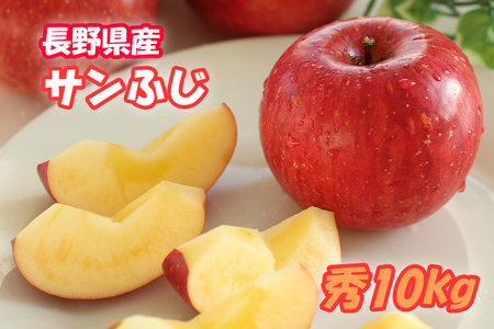 MS16-26A 【先行予約】 りんご サンふじ（長野県産秀品） 約10kg / 2026年11月下旬～12月中旬頃 配送予定 // 長野県 南信州 さんふじ サンフジ ふじりんご リンゴ 林檎 贈答 ふじ