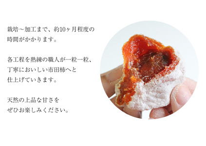 MS20-25A 市田柿「極」2Lサイズ以上【12個入】 / 2026年1月上旬~2月下旬頃 配送予定 // 長野県 南信州 干し柿 大粒 2Lサイズ 贈答 高糖度 ドライフルーツ ギフト