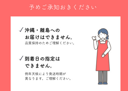 MS20-25A 市田柿「極」2Lサイズ以上【12個入】 / 2026年1月上旬~2月下旬頃 配送予定 // 長野県 南信州 干し柿 大粒 2Lサイズ 贈答 高糖度 ドライフルーツ ギフト