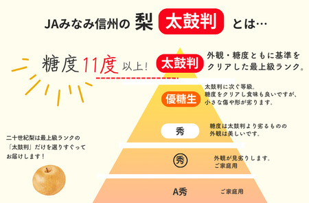 JA30-26A 【先行予約】二十世紀梨 約2kg / 2026年9月上旬～9月下旬ごろ配送 // 糖度センサー選別 厳選 南信州 長野県 和梨 なし ナシ 新鮮 厳選 贈答