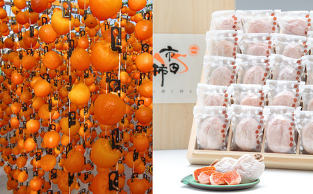 JA20-25A 市田柿 桐化粧箱 厳選20粒 / 2026年1月中旬~2月上旬頃 配送予定 // 長野県 南信州 干し柿 干柿 ドライフルーツ 高級 桐箱 贈答 ギフト お取り寄せ