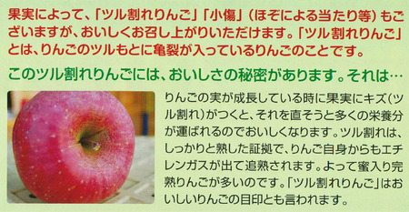 JA17-24A りんご サンふじ 家庭用 訳あり 約10kg／11月下旬～12月中旬ごろ配送