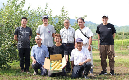 KW06-24A 梨 南水 約5kg（8～14玉）松川町産 贈答／9月下旬頃～配送予定 // 南信州産 長野県 和梨 なし ナシ 約5㎏ 南水 農家直送 農家支援