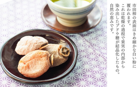 TS05-25A  市田柿 2Lサイズ 12個入（化粧箱入）//長野県 南信州 干し柿 市田柿 大粒 2Lサイズ 贈答 高糖度 ドライフルーツ ギフト