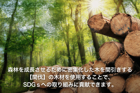 森からうまれたリルモスのピンバッジ 間伐材使用 リルモス(プール)＆モスバーガー ver.【モスバーガー】　木ピンバッチ　SDGｓピンバッチ　木製バッジ　SDGsピンバッジ